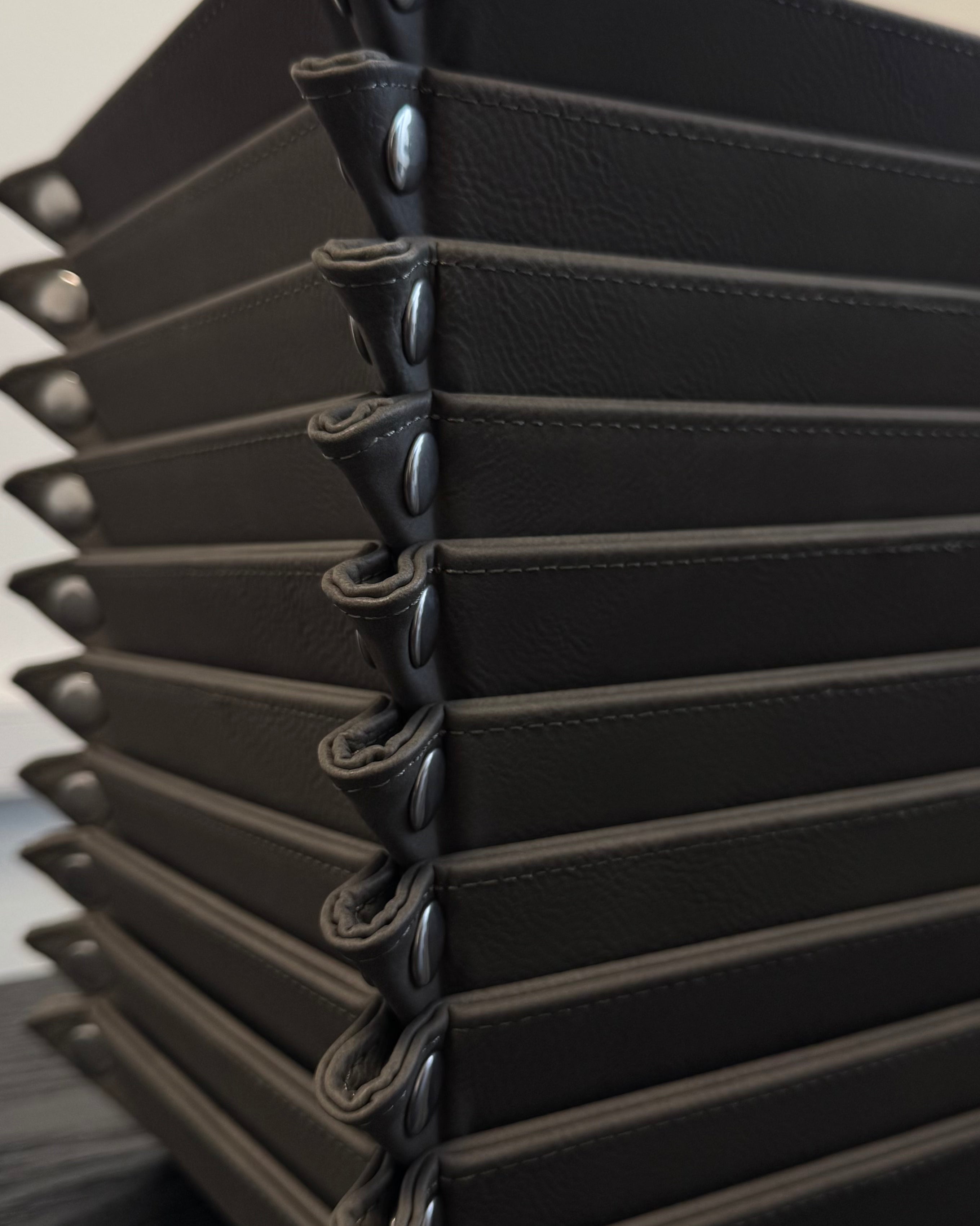 PREMIUM ORGANIZER TRAY